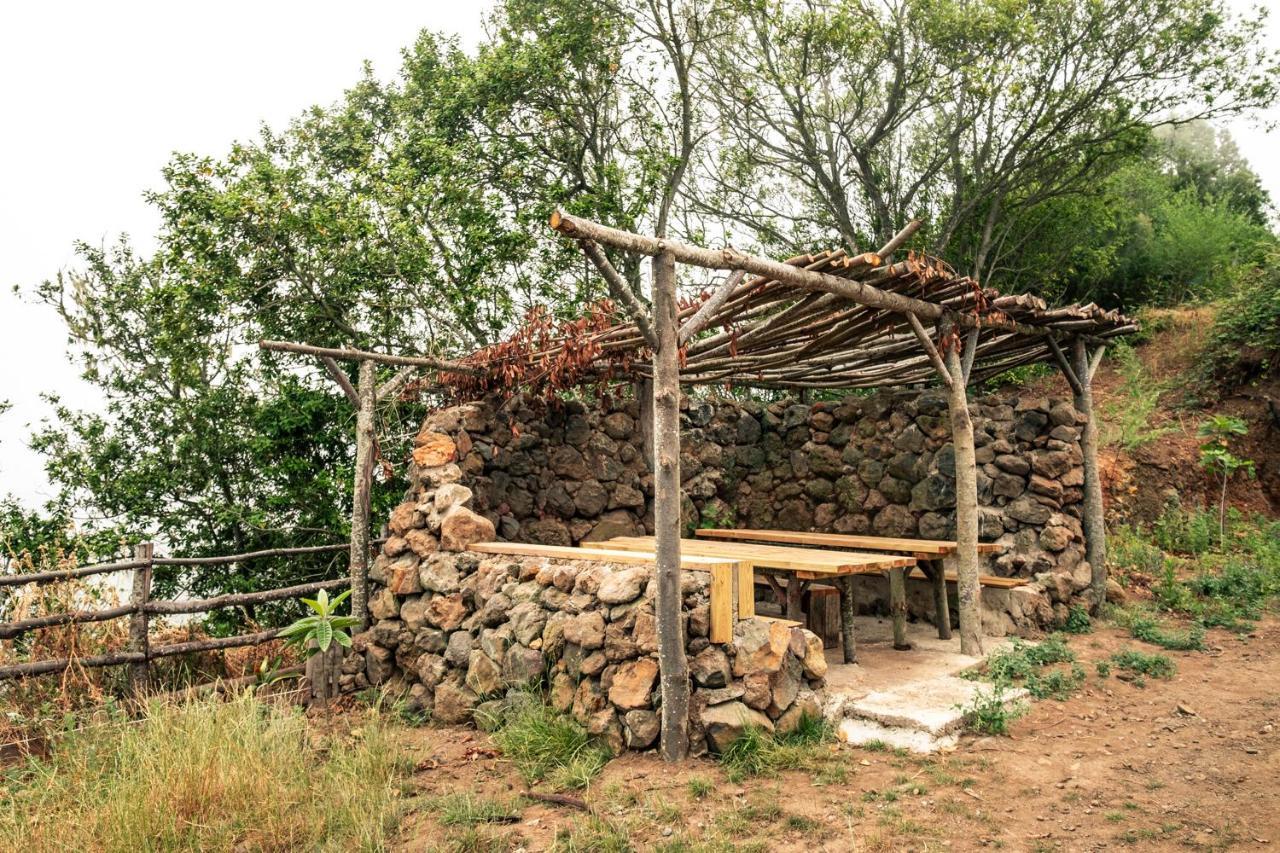 El Pino Centenario 4 Los Realejos Bagian luar foto